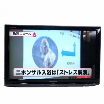 TH-L32X1 液晶テレビ